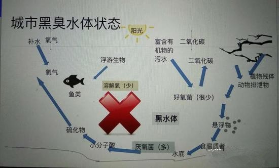 江蘇億元投資治污新技術(shù) 石墨烯能否治理黑臭水體？