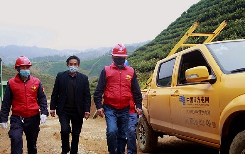 平塘供電局：“加減法”同構(gòu)服務(wù)，護(hù)航“貴州春茶第一壺”