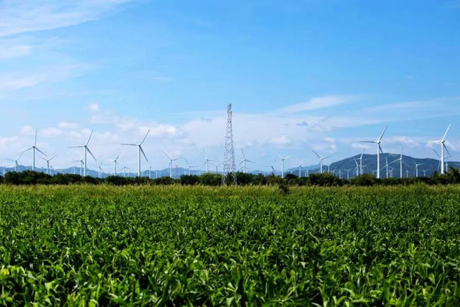 收購墨西哥818MW光伏電站，國家電投境外光伏電站裝機(jī)超6GW