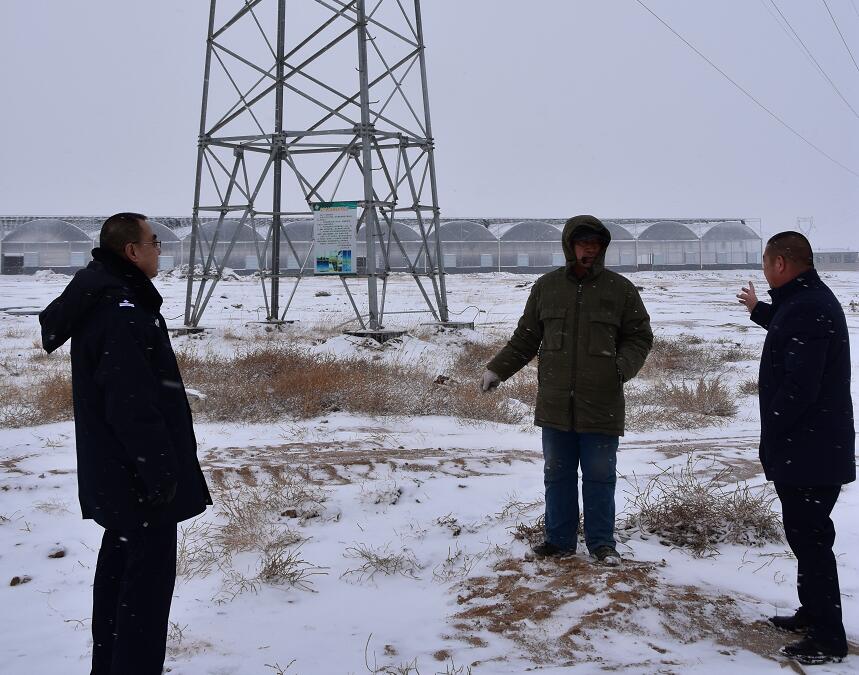 二連浩特供電公司：開展客戶側(cè)安全檢查，確?？诎犊蛻粝楹兔髁吝^(guò)春節(jié)
