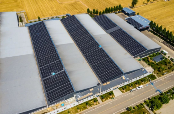分布式光伏助力企業(yè)低碳轉型！麥田里的陽光工廠，年均生產108萬度綠電！
