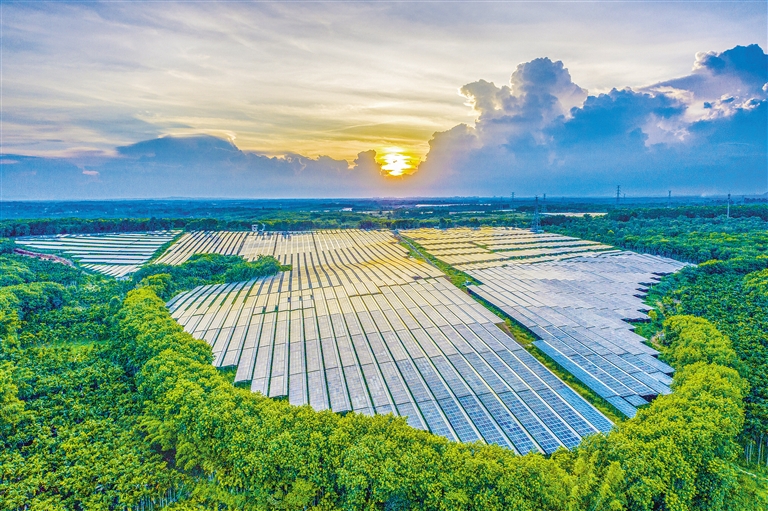 海南電網(wǎng)公司加快構(gòu)建現(xiàn)代供電服務(wù)體系，驅(qū)動(dòng)鄉(xiāng)村振興電力引擎