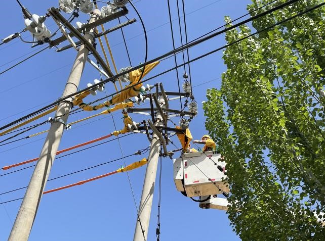 帶電作業(yè)除隱患，安全供電有保障