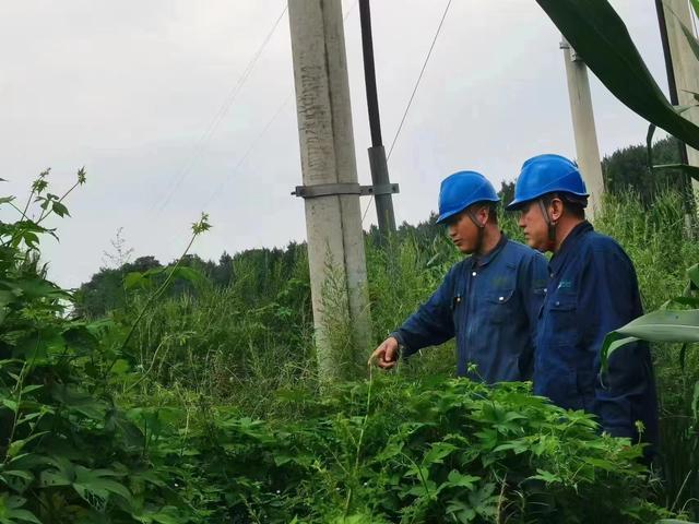 國網(wǎng)長春供電公司積極應(yīng)對極端天氣，確保線路設(shè)備穩(wěn)定運行