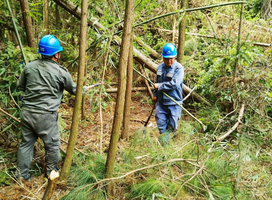 南方電網(wǎng)荔波供電局線路憂患如“猛獸”，通道清通要爭先