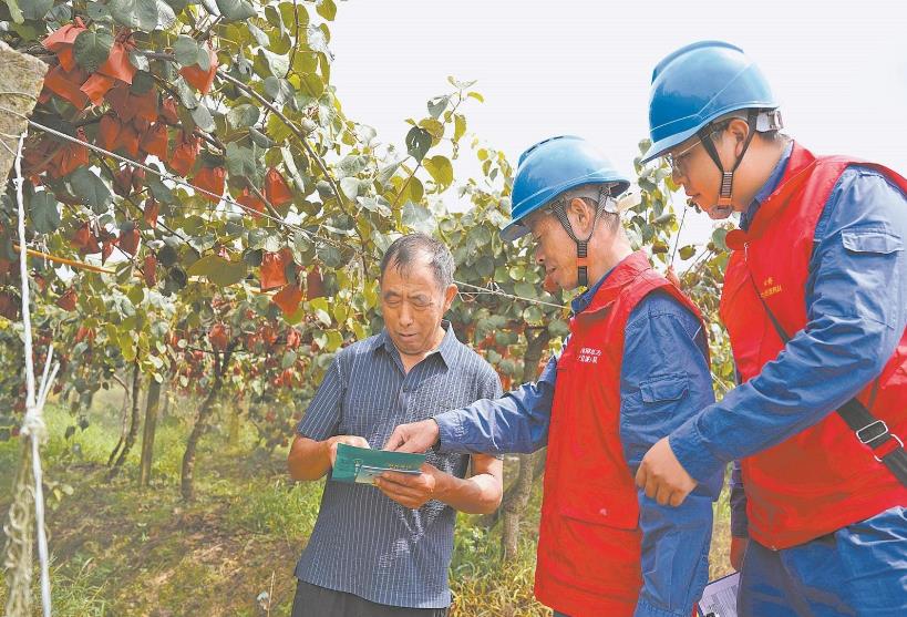 四川蒲江:獼猴桃種植告別“靠天吃飯”