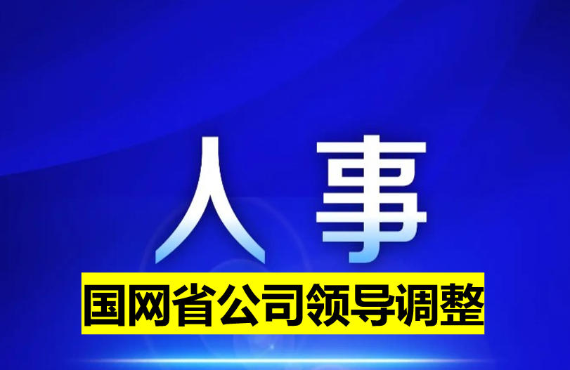國網(wǎng)省公司領導調(diào)整